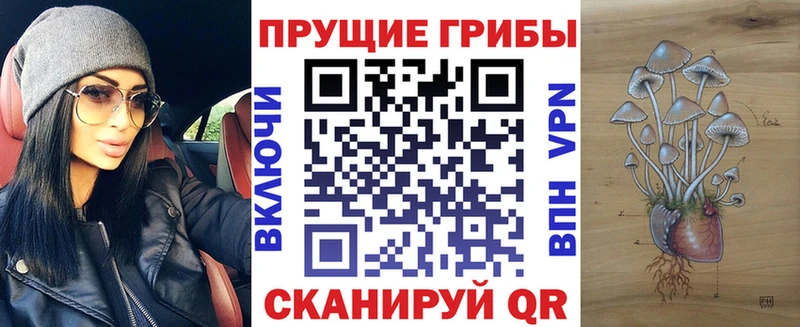 Псилоцибиновые грибы GOLDEN TEACHER Богданович